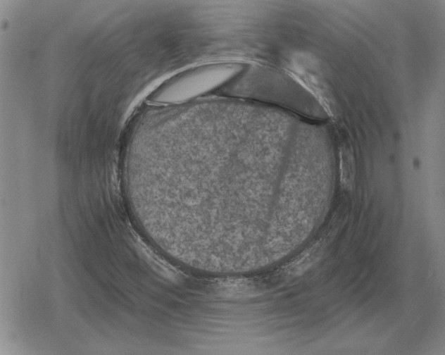 X0000079281452200612081741