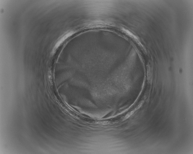 X0000079281453200612081741