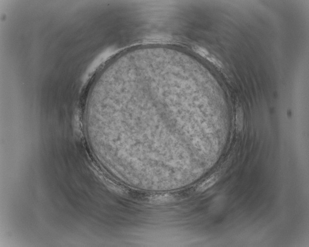 X0000079281454200612081741