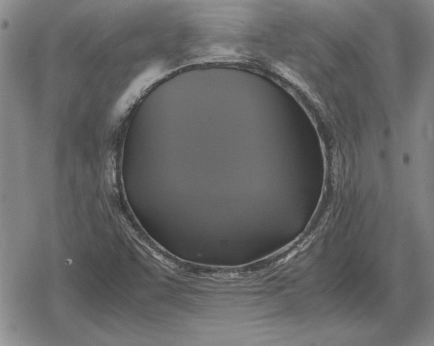 X0000079281455200612081741