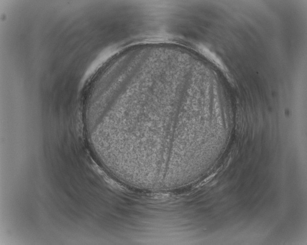 X0000079281456200612081741