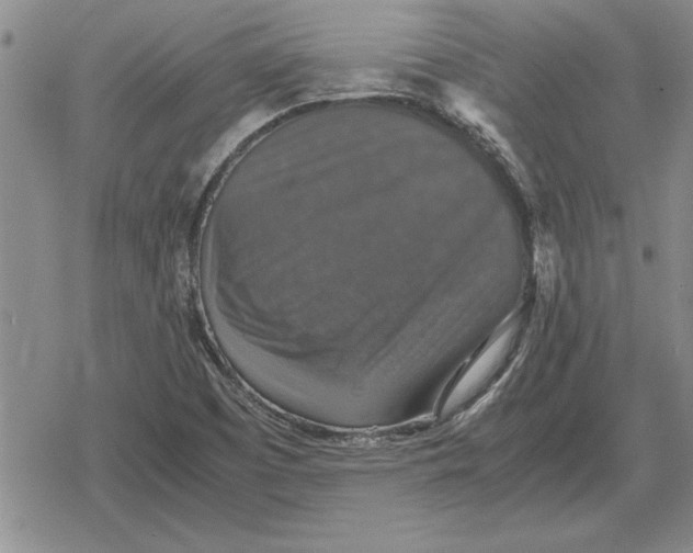 X0000079281457200612081741