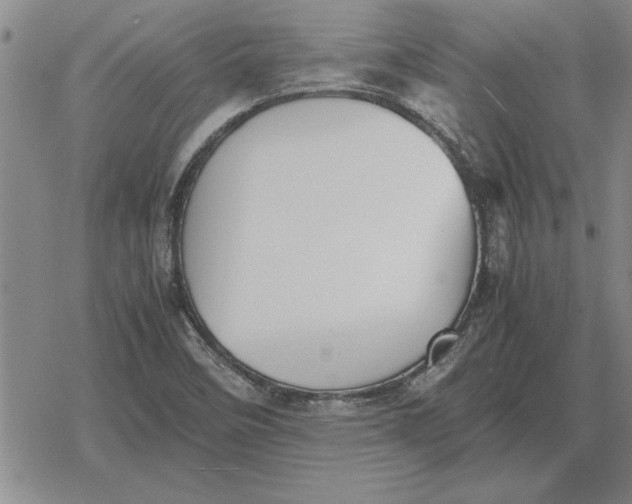 X0000079281458200612081741