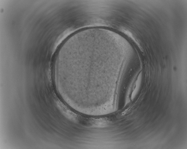 X0000079281460200612081741