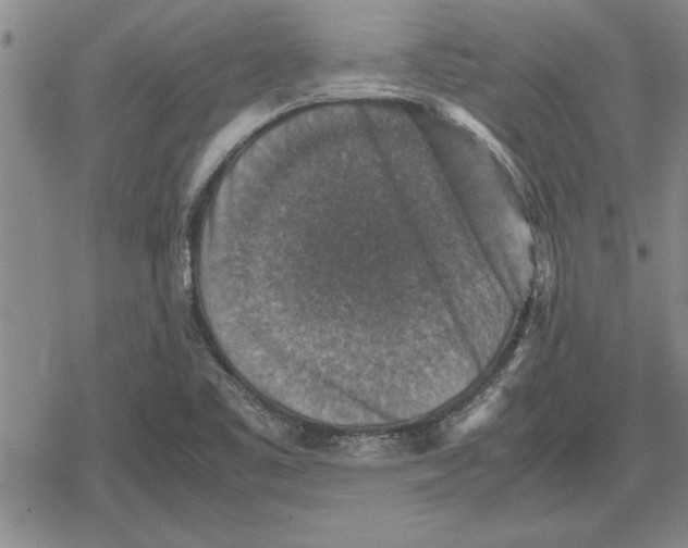 X0000079281461200612081741