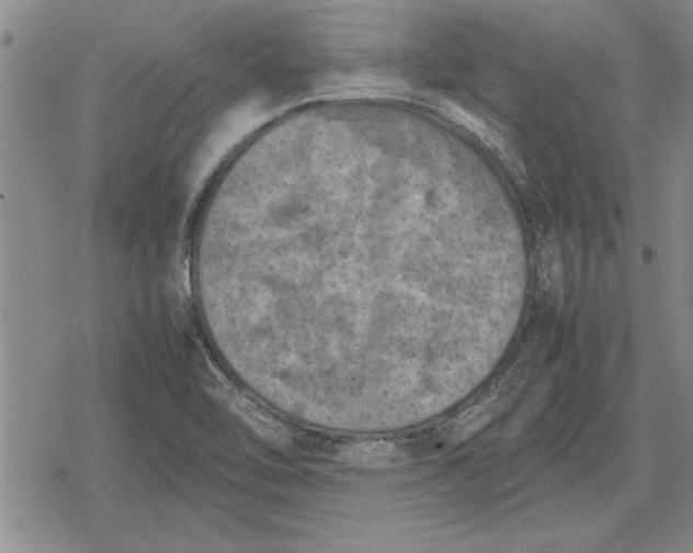 X0000079281462200612081741