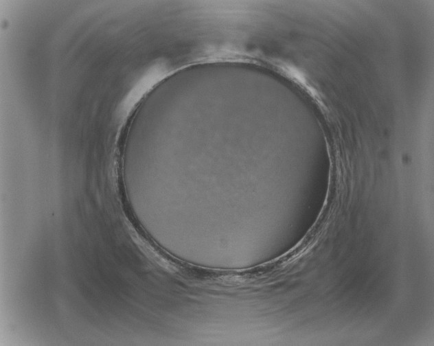 X0000079281463200612081741