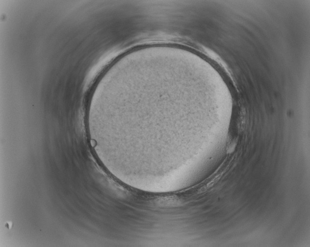 X0000079281464200612081741