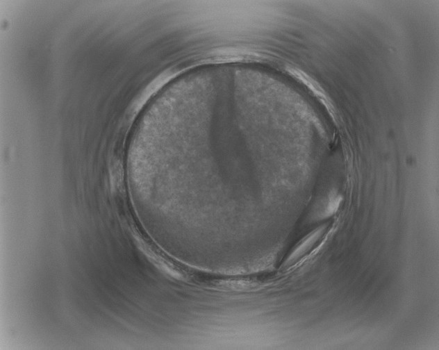 X0000079281465200612081741