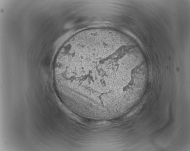 X0000079281467200612081741