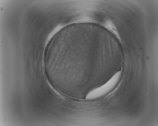 X0000079281469200612081741