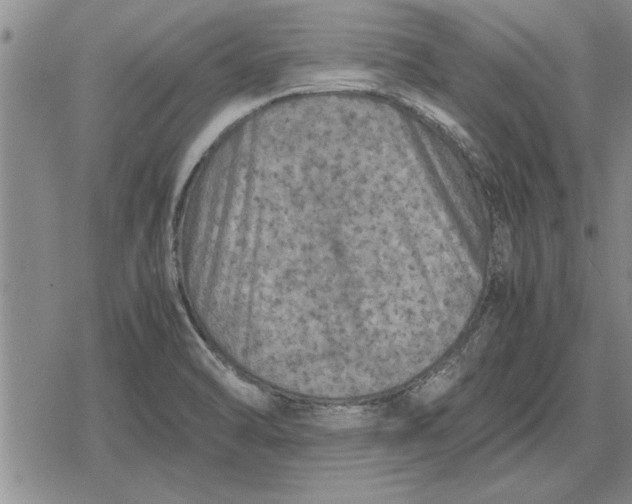 X0000079281470200612081741