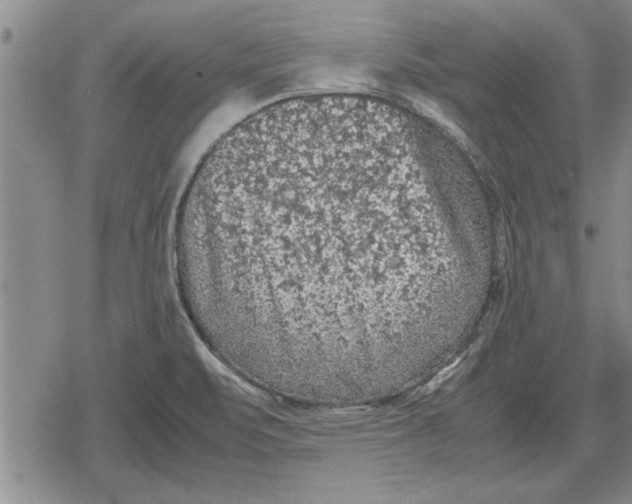 X0000079281471200612081741