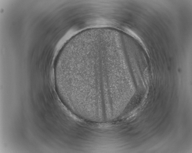 X0000079281472200612081741