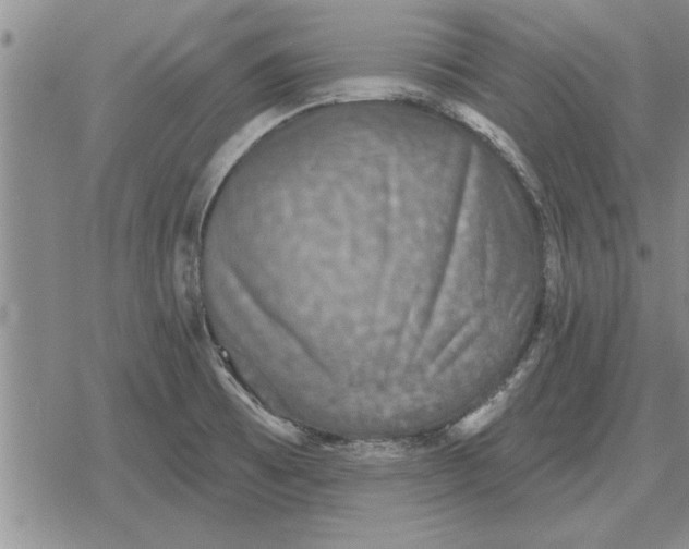 X0000079281473200612081741