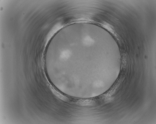 X0000079281474200612081741