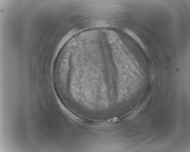 X0000079281475200612081741