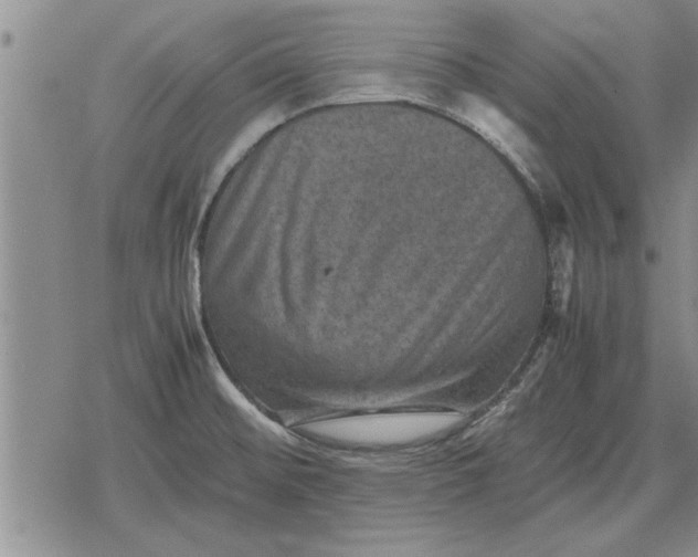 X0000079281476200612081741