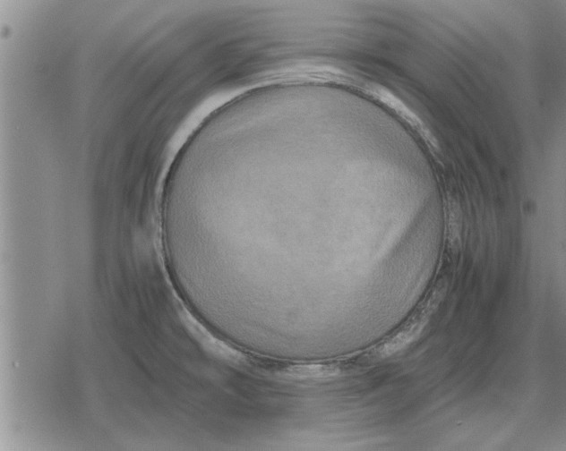 X0000079281478200612081741