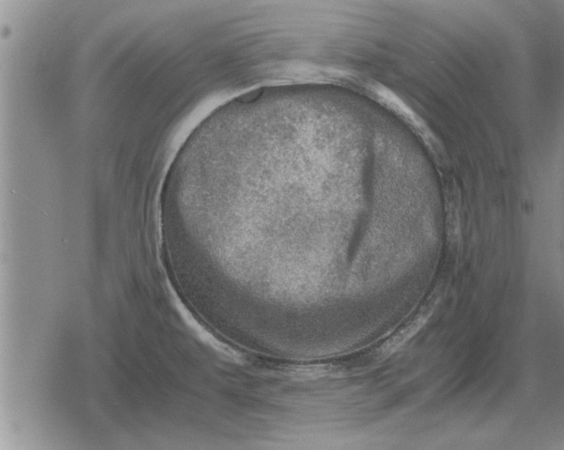 X0000079281479200612081741