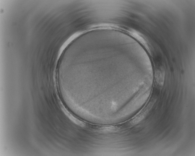 X0000079281482200612081741