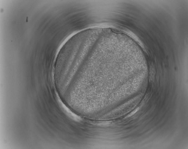 X0000079281484200612081740