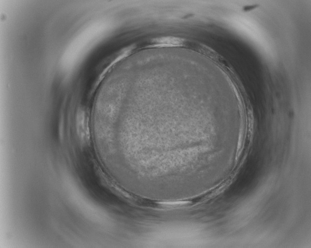 X0000079281487200612081740