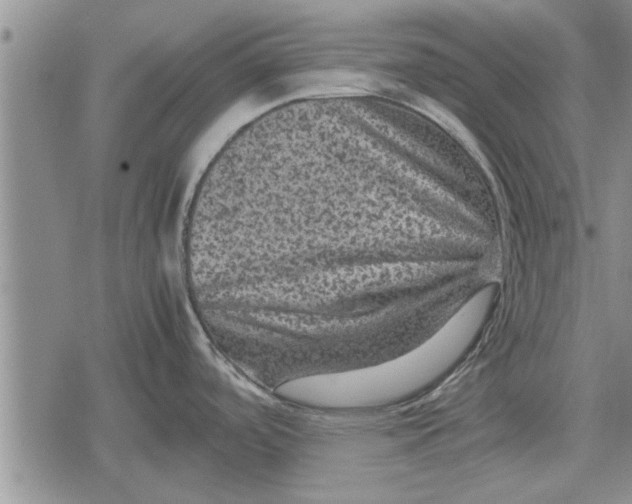 X0000079281488200612081740