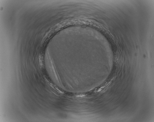 X0000079281490200612081740