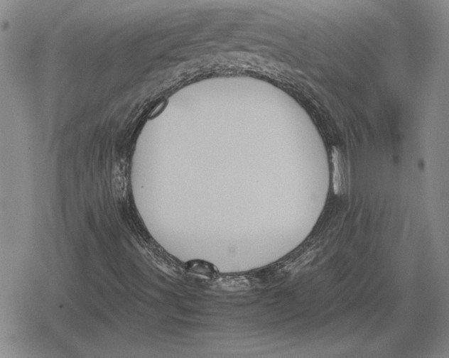 X0000079281491200612081740