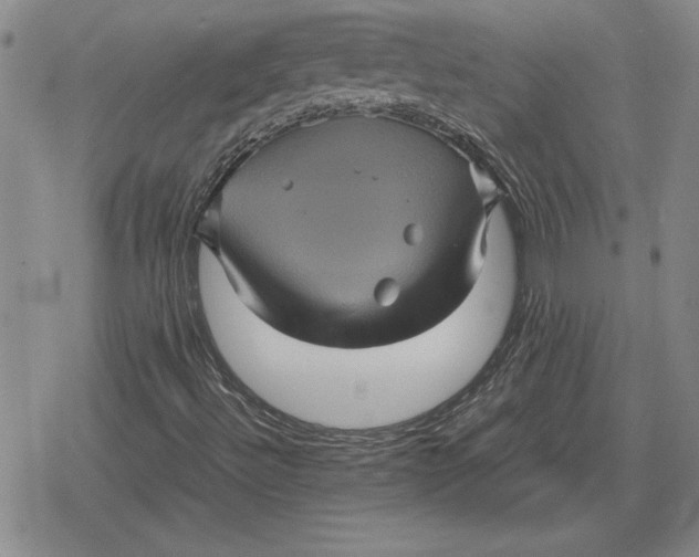 X0000079281492200612081740