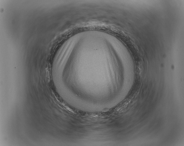 X0000079281493200612081740