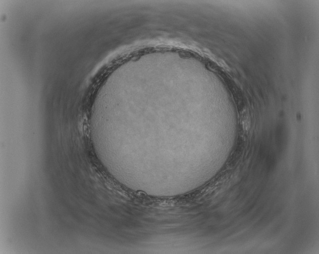 X0000079281495200612081740