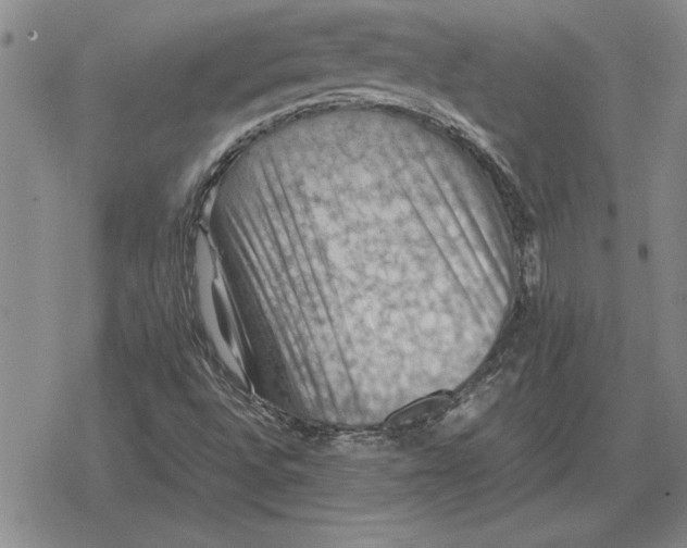 X0000079281496200612081740