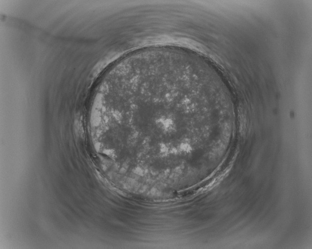 X0000079281497200612081740