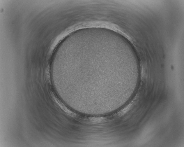 X0000079281498200612081740