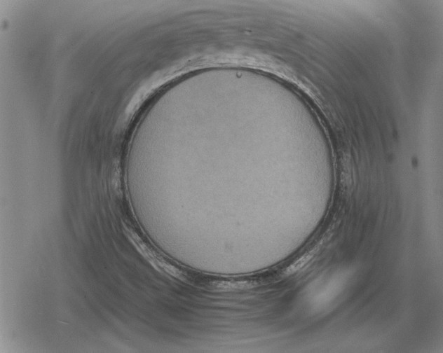 X0000079281499200612081740