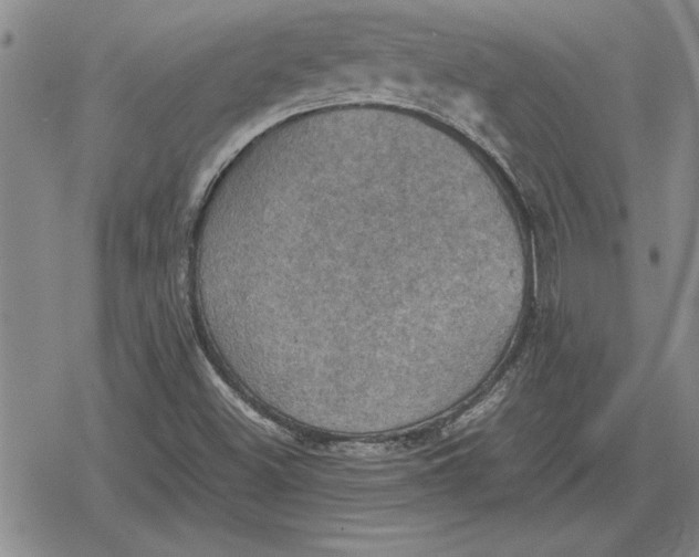 X0000079281500200612081740