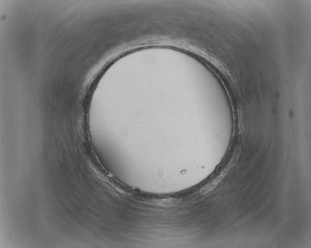 X0000079281502200612081740