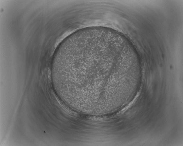 X0000079281505200612081740