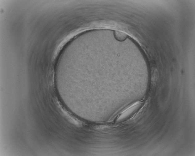 X0000079281507200612081740