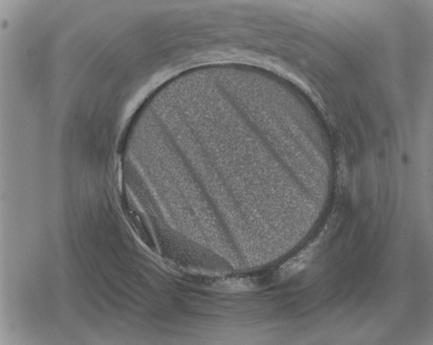 X0000079281509200612081740