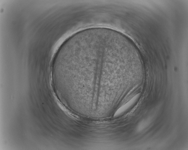 X0000079281511200612081740