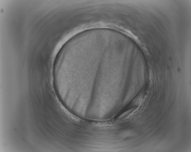 X0000079281512200612081740