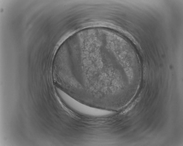 X0000079281513200612081740