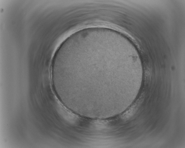 X0000079281514200612081740