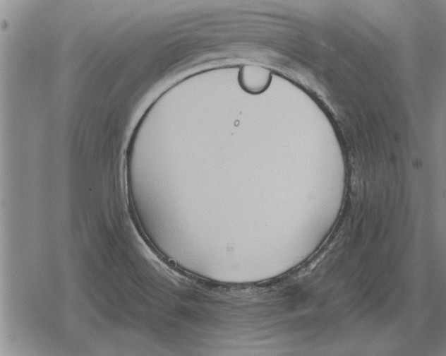 X0000079281516200612081740