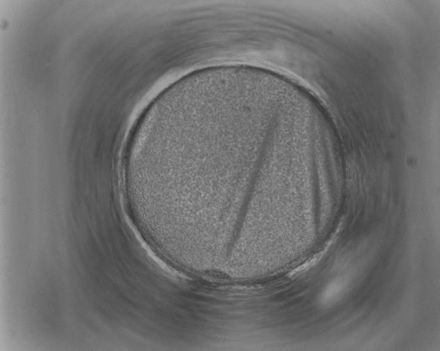 X0000079281517200612081740