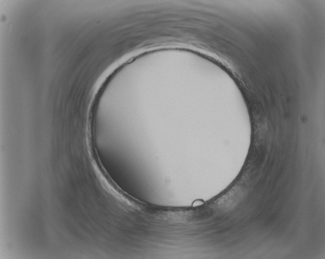 X0000079281518200612081740