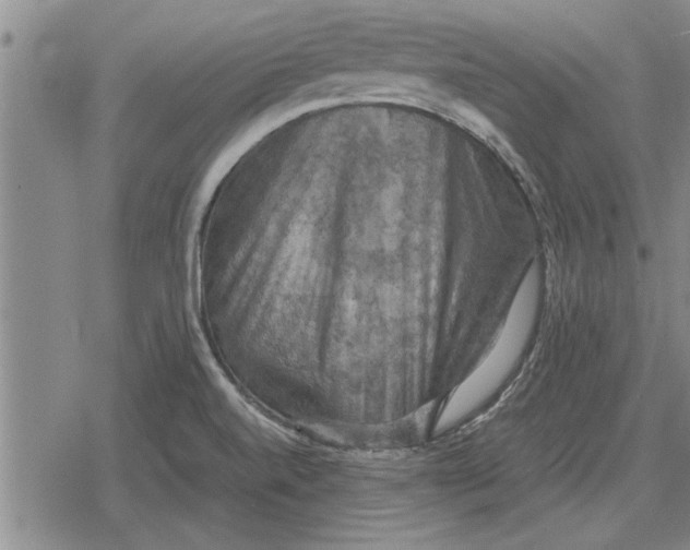 X0000079281520200612081740